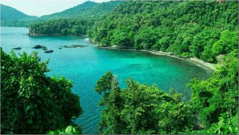 Gua Sarang Sabang