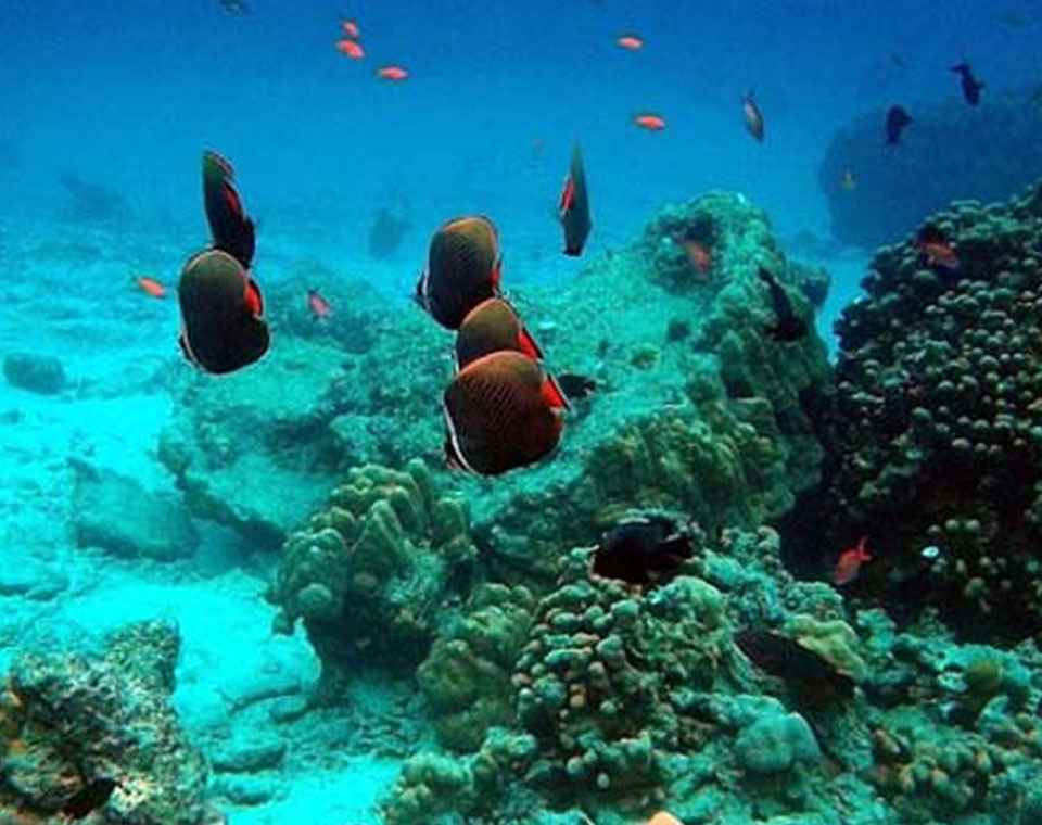 5 Objek Wisata yang Mengesankan di Sabang