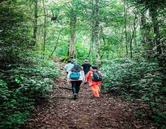Trekking Seru | Jelajah Hutan Taman Simalem Resort