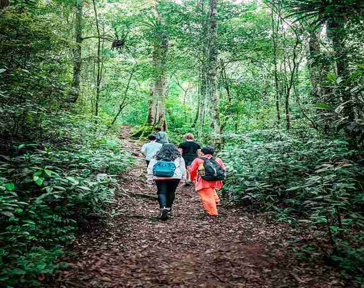 Trekking Taman Simalem Resort
