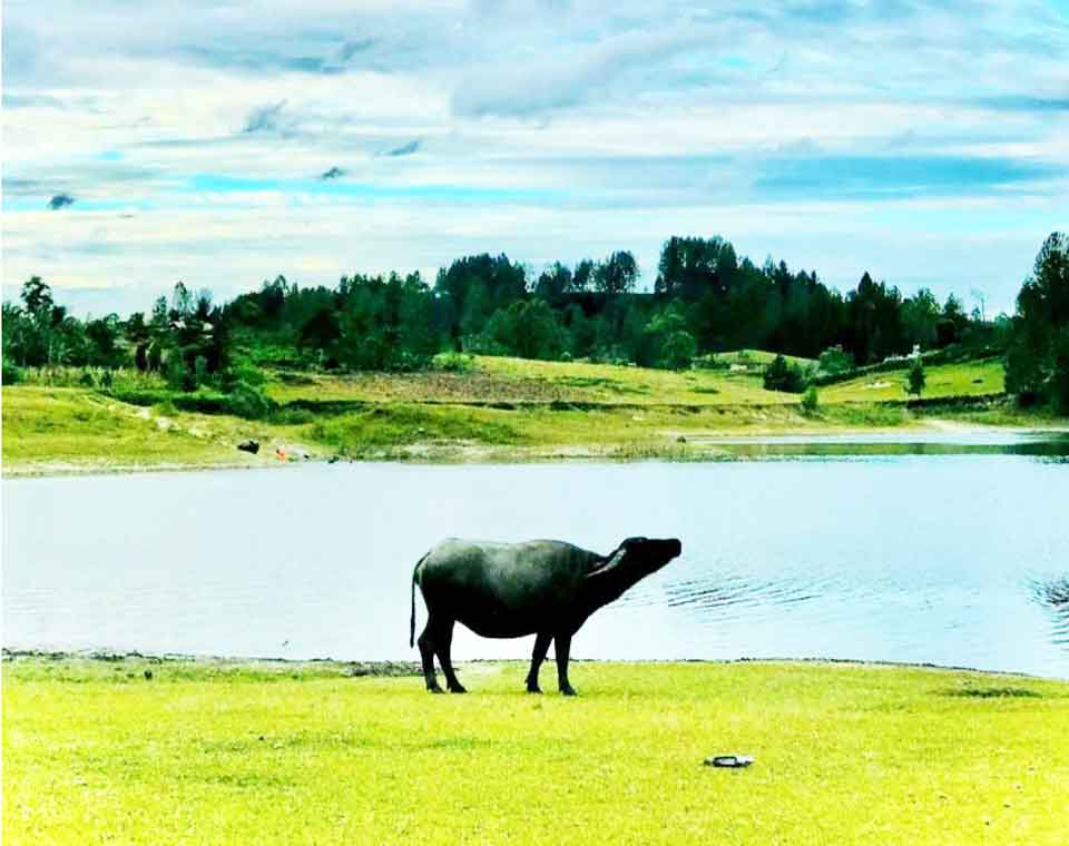 Danau Sidihoni Parapat
