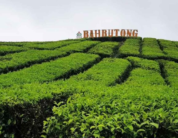 Kebun Teh Sidamanik | Pesona Hijau Dekat Danau Toba