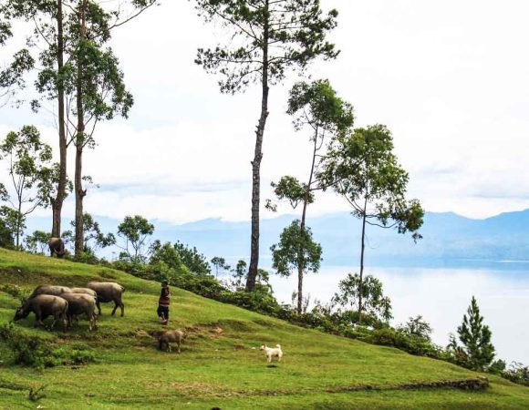 Huta Ginjang | Tempat Mengintip Danau Toba Dari Sekitar Silangit