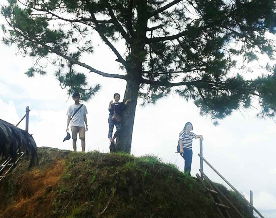 One Tree Hill