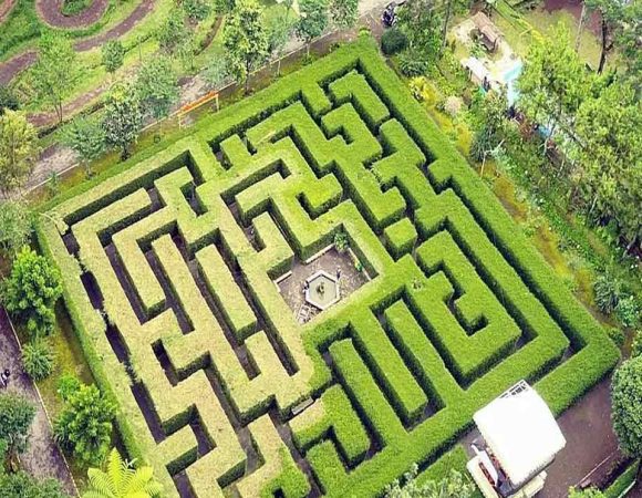 Taman Labirin | Uji Ketangkasan di  Taman Simalem Resort