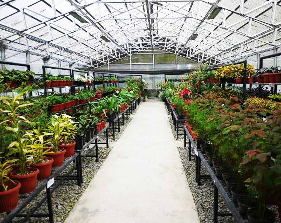 Agrowisata Taman Simalem Resort