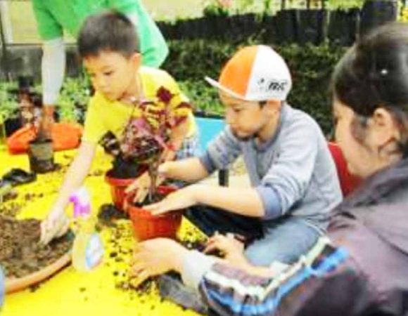 Green Fingers di Taman Simalem Resort | Menanam Kebaikan di Atas Awan