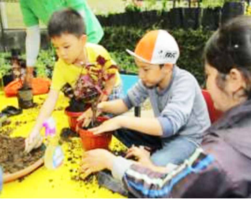 Green Fingers Taman Simalem Resort