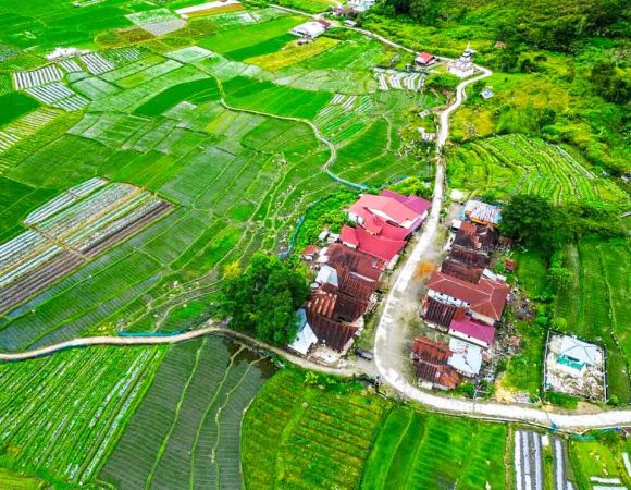Huta Balian | Hamparan Sawah dan Spot Foto Estetik di Samosir