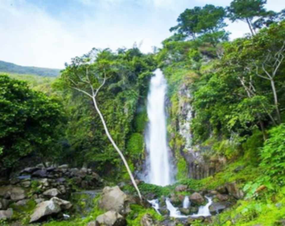 Air Terjun Janji
