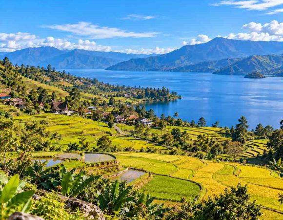 Desa Bonan Dolok Samosir, Wisata Sawah Indah Danau Toba